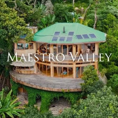 The round Maestro Valley treehouse with its green roof among the trees