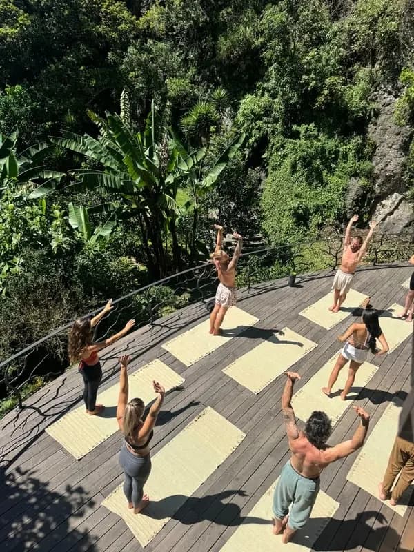 Guests moving together on an open deck above the jungle