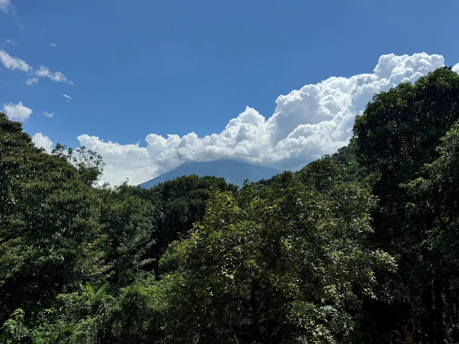 Jungle canopy and a volcano beneath clouds above Lake Atitlan