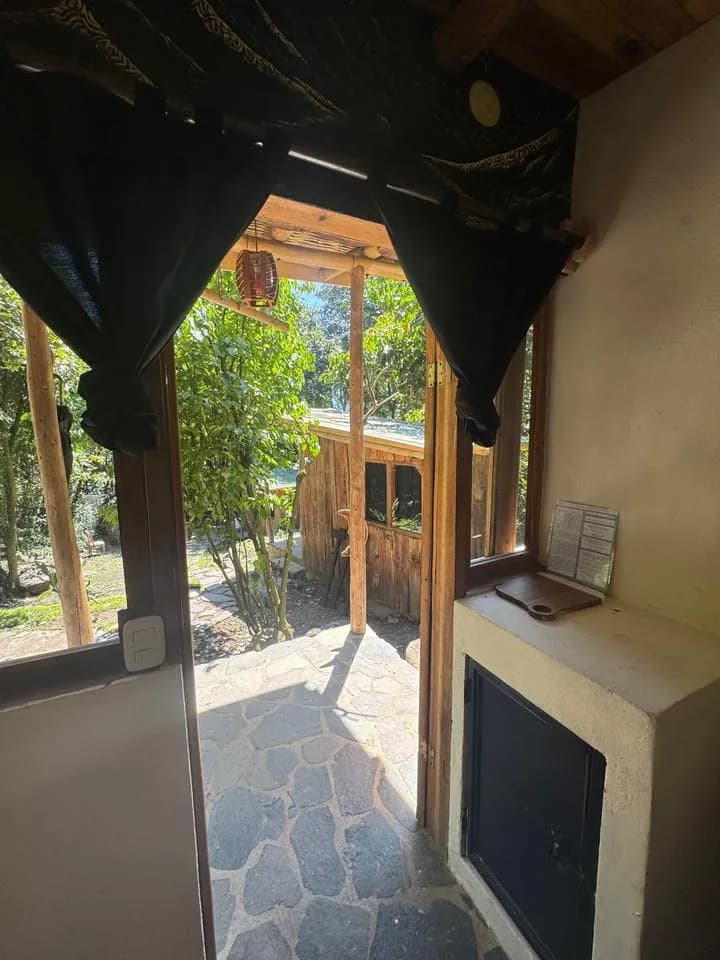 The view through a cabin door onto a stone path and the garden