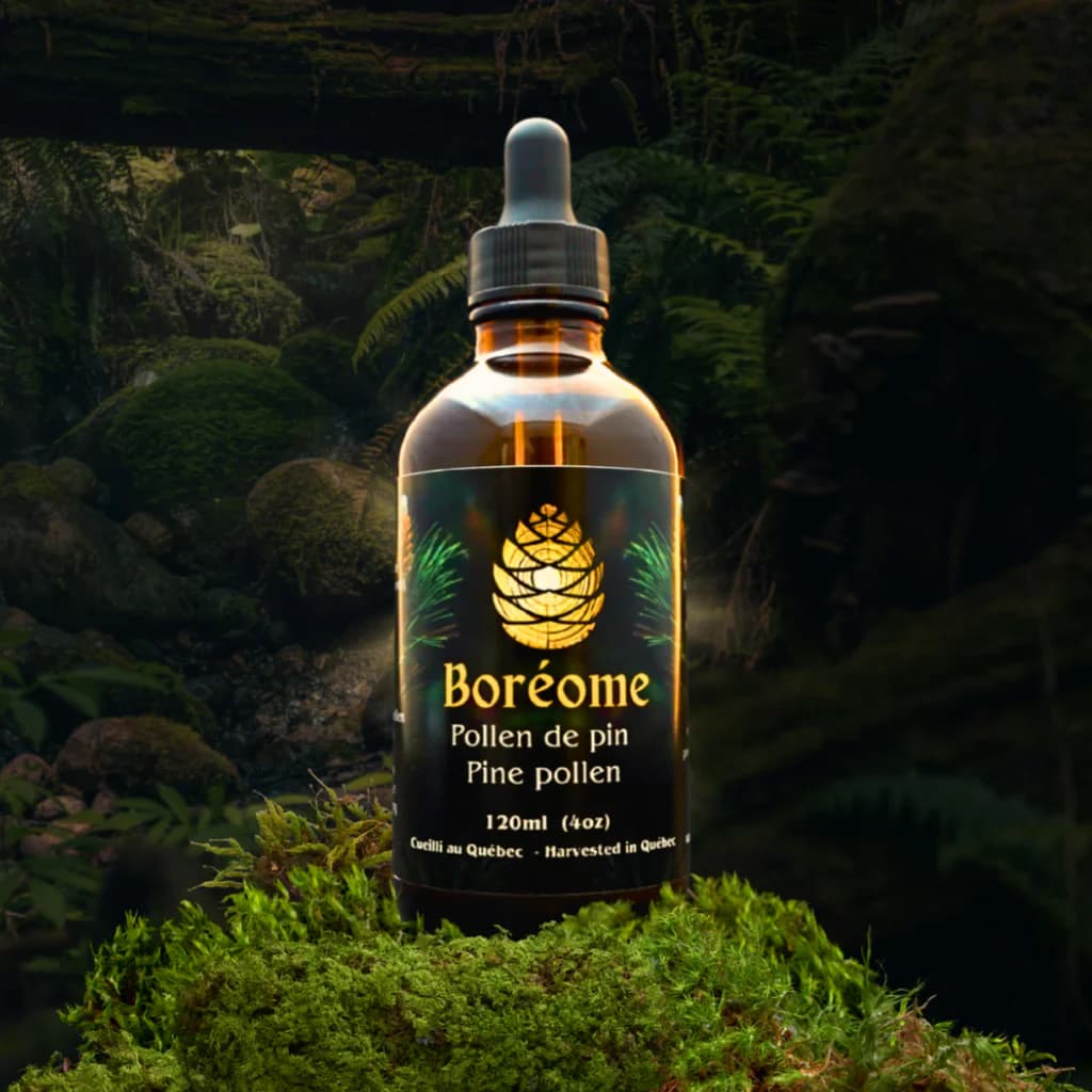 Boreome pine pollen bottle among moss and forest plants