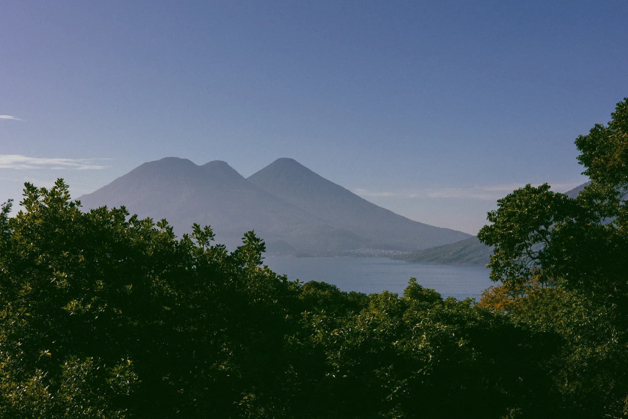 Lake Atitlan and its volcanoes viewed above a forest canopy