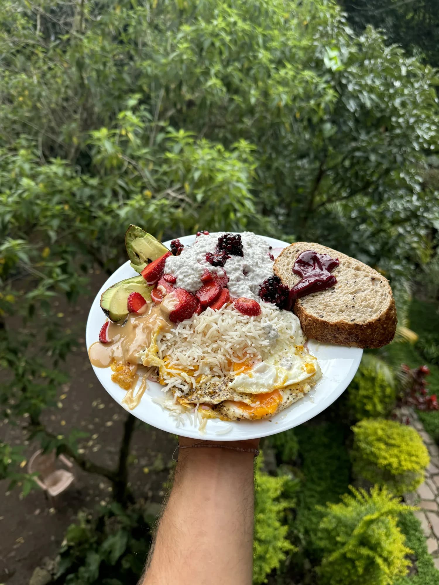 A plate of eggs, rice, avocado, berries, and whole-grain toast held up in front of jungle greenery